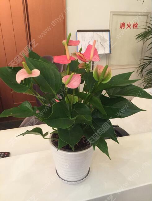 全国供应商中心